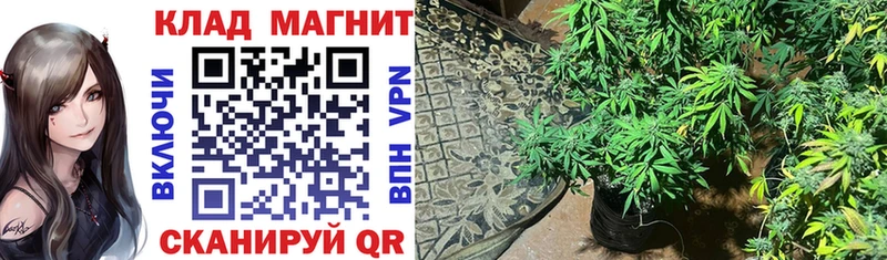 Где купить наркотики Кузнецк A-PVP Меф ГАШ Бошки Шишки COCAIN