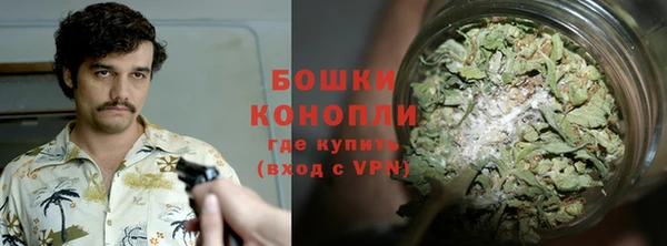 шишки Тавда