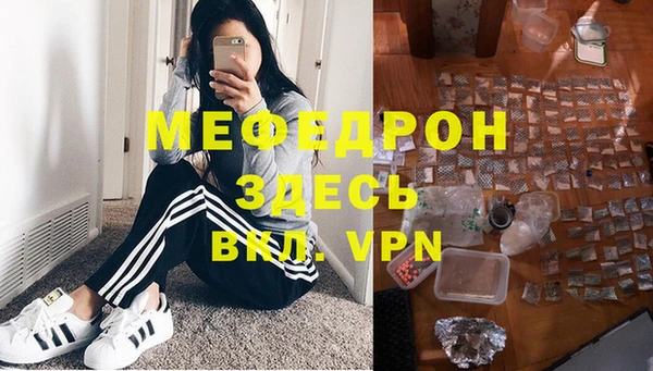 шишки Тавда