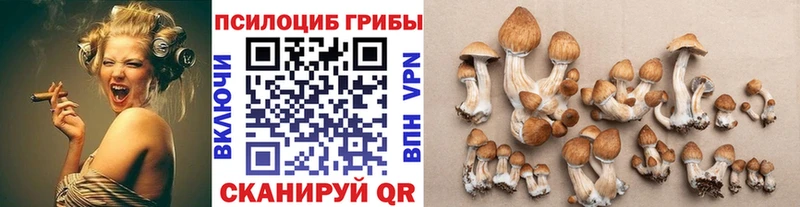 Галлюциногенные грибы MAGIC MUSHROOMS  где найти   MEGA рабочий сайт  Кузнецк 