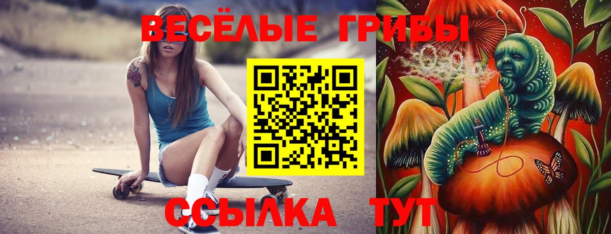 Кузнецк  Галлюциногенные грибы Psilocybe  Псилоцибиновые грибы ЛСД  Вход с VPN 