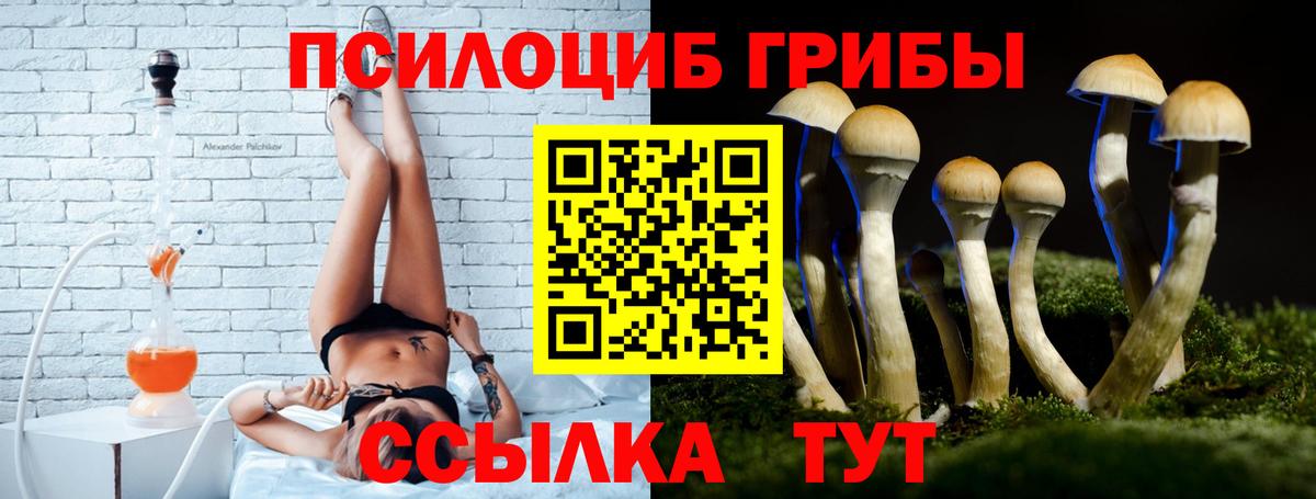 Гашиш  Вход с VPN  ЭКСТАЗИ  Бошки Шишки  Cocaine  Кузнецк  МЕТ  МЕФ  МЕФ кристаллы  ГАШИШ 